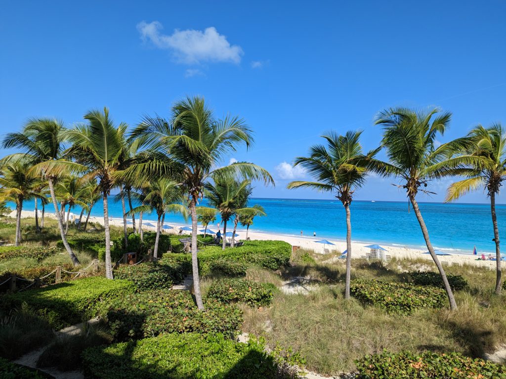 PXL_20221116_142605478